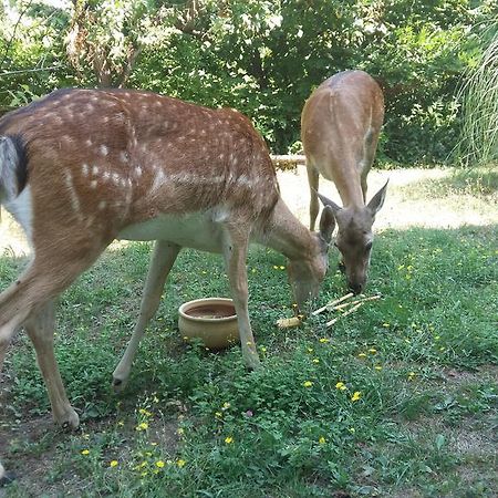 오바다 Cascina Bricco 아파트 외부 사진